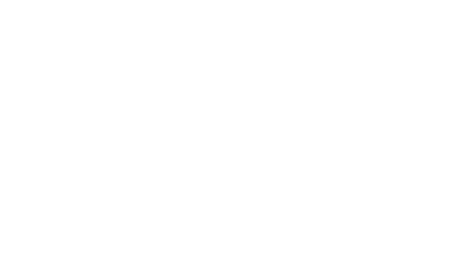 ORDINA Logo